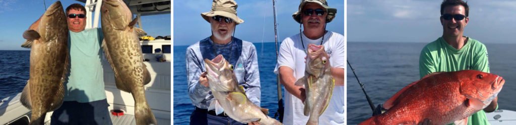 Apalachicola Fishing Company, FL: Book an Inshore or Offshore Charter